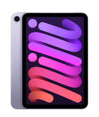 iPad mini 6 — Mauve