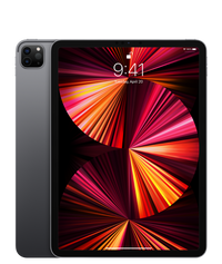 iPad Pro 11″ (M1) — Gris sidéral