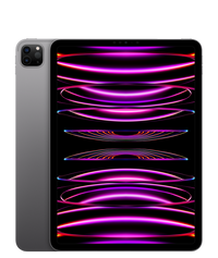iPad Pro 11″ (M2) — Gris sidéral