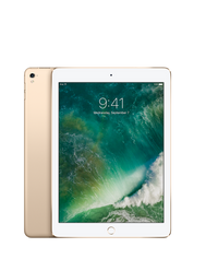 iPad Pro 9,7″ — Or