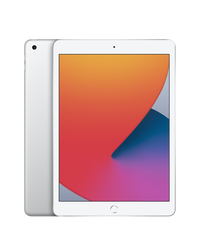 iPad 8 — Argent